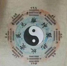 ​打架有什么技巧(打架实用的格斗技巧)