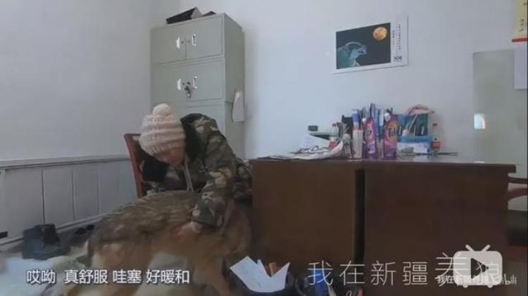 b站能直播只狼吗,b站最厉害的直播