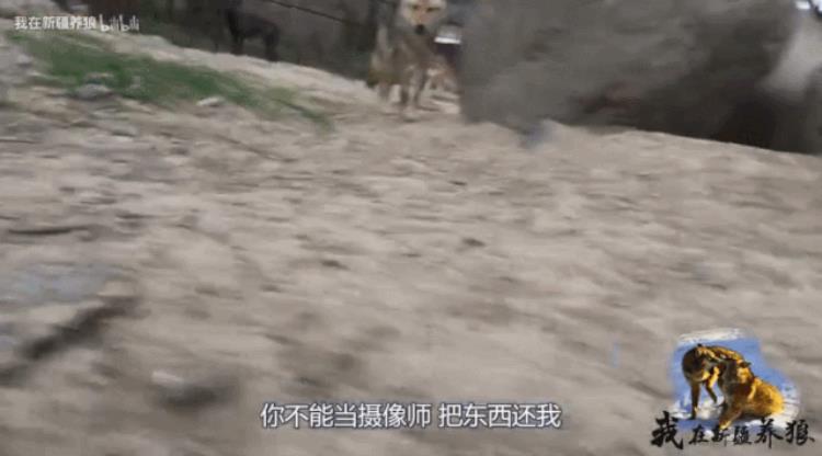 b站能直播只狼吗,b站最厉害的直播
