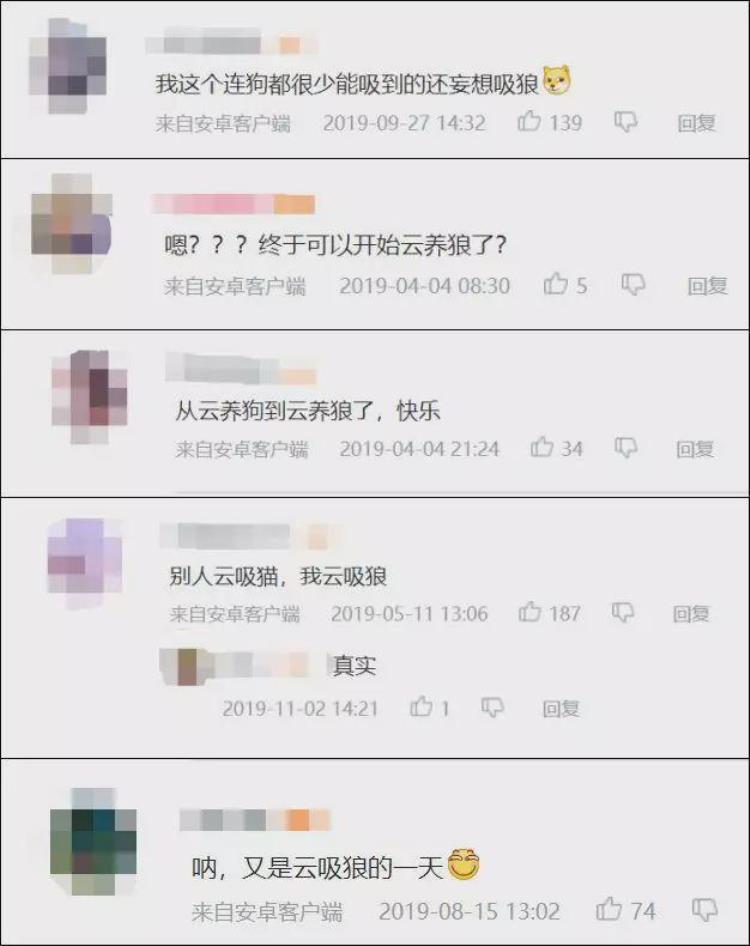 b站能直播只狼吗,b站最厉害的直播