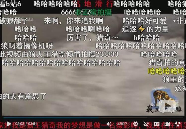 b站能直播只狼吗,b站最厉害的直播