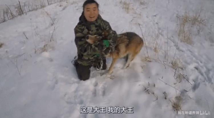 b站能直播只狼吗,b站最厉害的直播