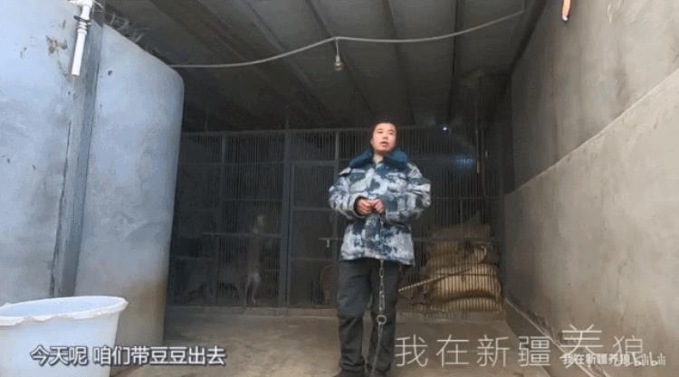 b站能直播只狼吗,b站最厉害的直播