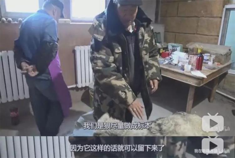 b站能直播只狼吗,b站最厉害的直播