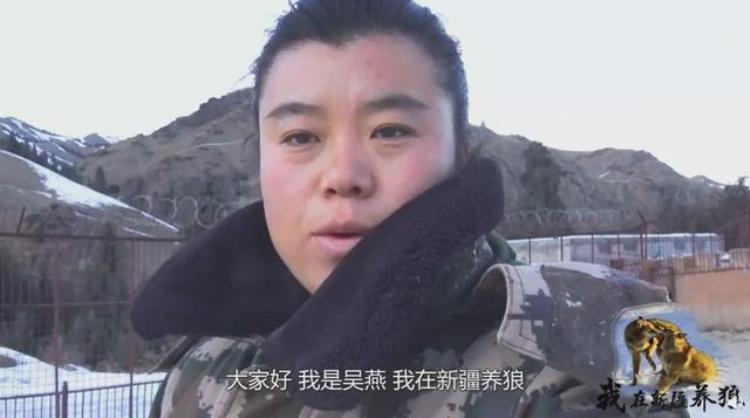 b站能直播只狼吗,b站最厉害的直播