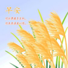 ​爱情问候语关心语，秋季早晨关心的问候语