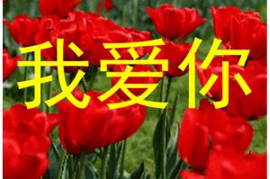 ​写给男朋友的心里话（送给男朋友的最美的心里话）