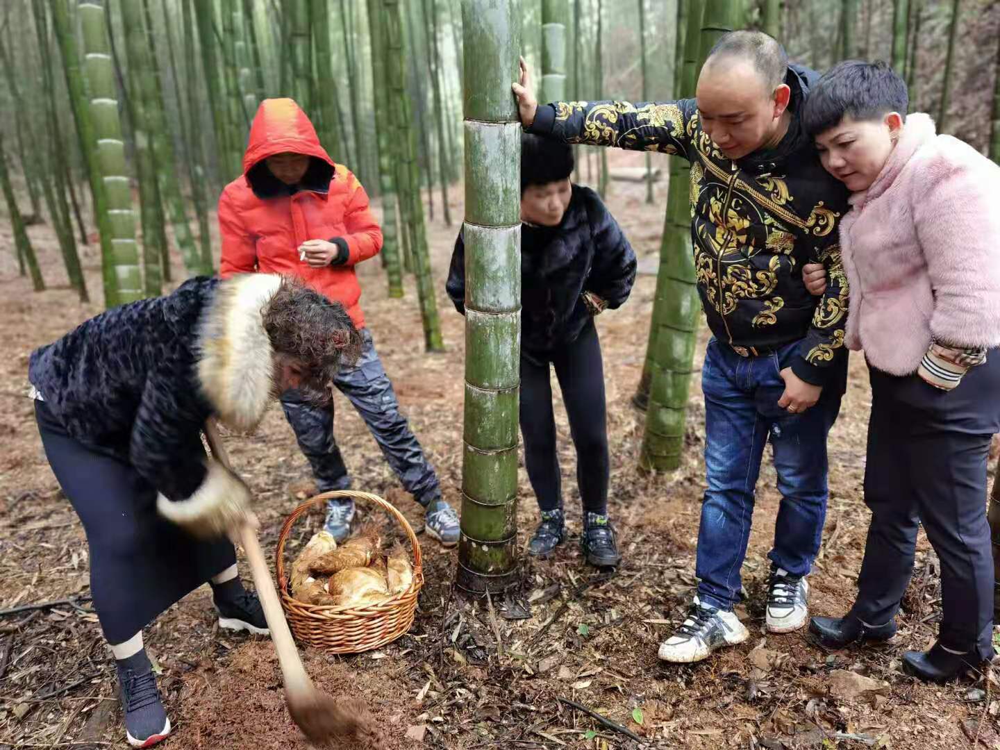 长沙周边一日游最佳地点（长沙周边一日游玩攻略）