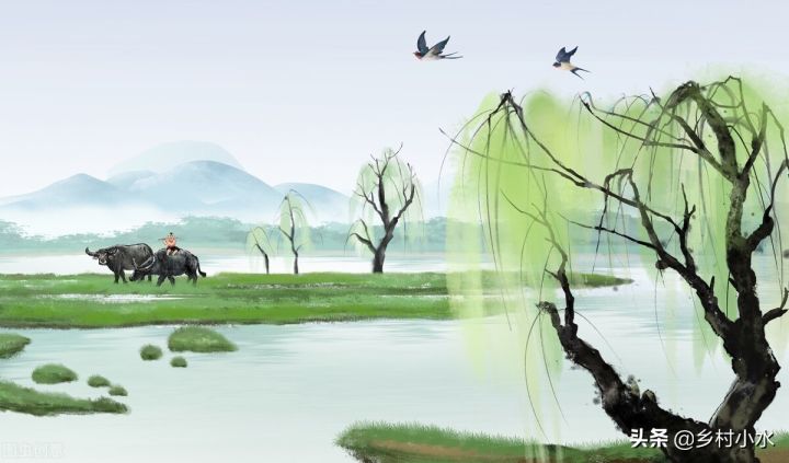 清明节习俗有哪些（知识科普清明节的5个传统习俗）