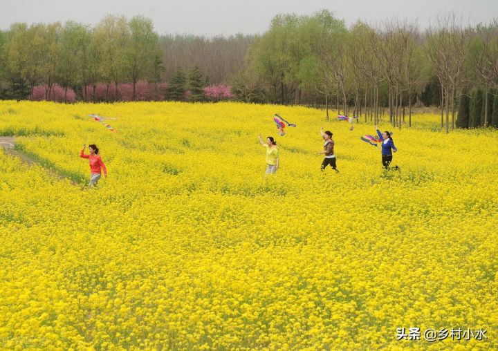 清明节习俗有哪些（知识科普清明节的5个传统习俗）