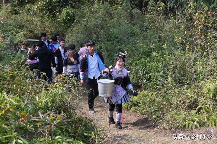 清明节习俗有哪些（知识科普清明节的5个传统习俗）