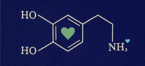 ​爱情是多巴胺的产物吗，爱情激素多巴胺导致短暂性遗忘