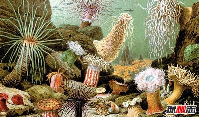 海洋的秘密有哪些?人类不知道的15大海洋知识
