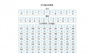​天干是什么意思（一文读懂算命学中天干的含义）