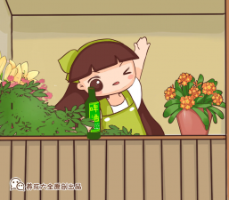 ​啤酒浇花的正确方法适合浇什么花（4种花爱喝啤酒）