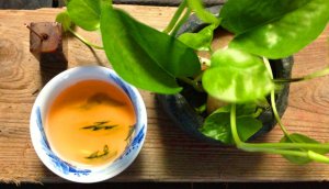 ​水仙茶属于什么茶（水仙茶的正确冲泡教程分享）