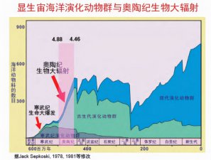 ​笔石动物真实图片（奥陶纪生物大辐射巨壳支配下的海洋）