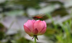 ​小姑子老公说他喜欢我怎么办(姑子为啥都喜欢住哥嫂家)