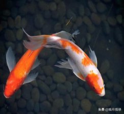 ​聪明的情人让男人愧疚，如何让男生感觉愧疚