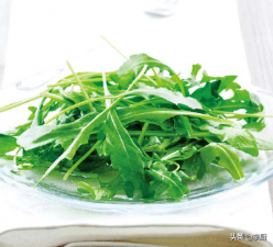 ​芝麻菜怎么做好吃（凉拌芝麻菜烹饪教程分享）