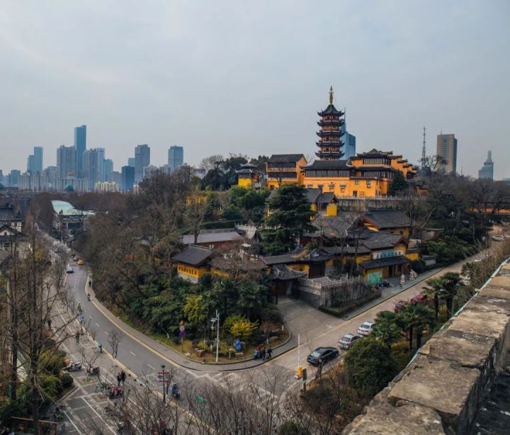 现在的网红奶茶有哪些（全国最火的8家网红地标性奶茶）