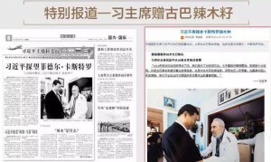 ​辣木籽的作用与功效和副作用（辣木籽的主要功能讲解）