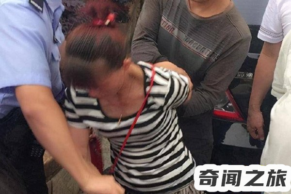 梅姨拐卖儿童案件分析（梅姨的背后恐怖事情）(2)_