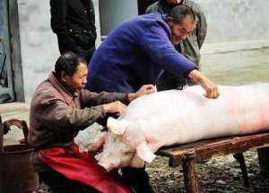 ​过年都有些什么风俗(春节的节日风俗有哪些)