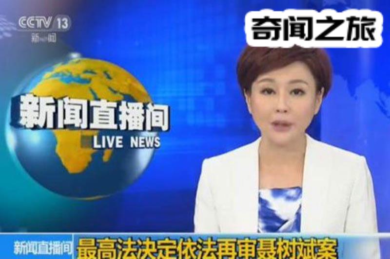 2017聂树斌事件（相关办案人员王书金就是真凶）(6)_