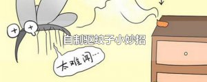 ​自制驱蚊子小妙招