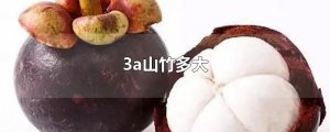 ​3a山竹多大
