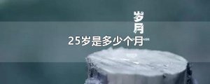 ​25岁是多少个月