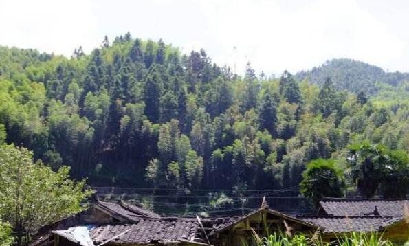 秦岭超自然事件 秦岭山下名为晶山村的村民一夜之间全都消失(4)_