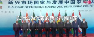 ​以什么为代表的新兴市场国家