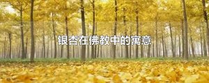 ​银杏在佛教中的寓意