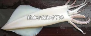 ​鱿鱼怎么洗才干净