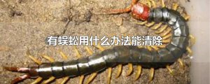 ​有蜈蚣用什么办法能清除
