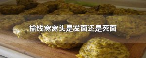 ​榆钱窝窝头是发面还是死面