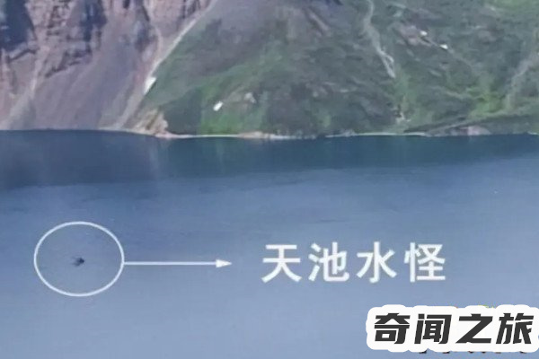 中国水怪事件(镜泊湖2006年发现一只体型巨大的未知生物体长足有7米多上下浅游(3)_