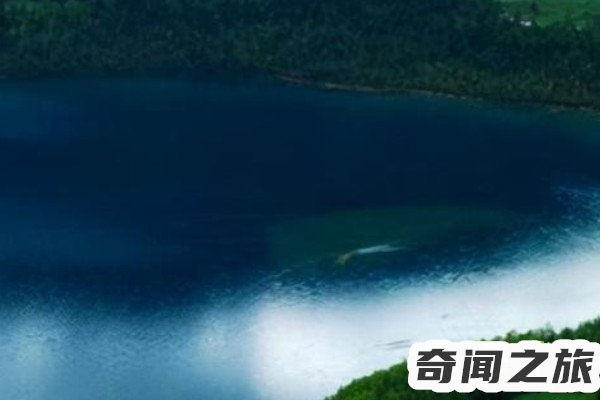 中国水怪事件(镜泊湖2006年发现一只体型巨大的未知生物体长足有7米多上下浅游(4)_