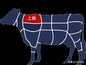 ​牛扒是牛肉的哪个部位（牛排6大经典部位全解析）