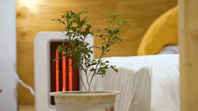 最省电的取暖方式（最省电的9种方法推荐）