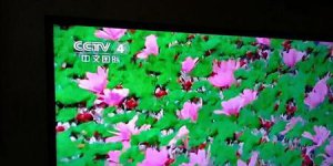 ​随着年龄的增长越来越觉得亲情重要