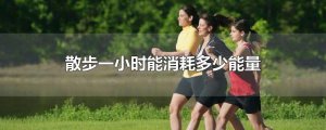 ​散步一小时能消耗多少能量