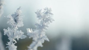 ​雪花的形状
