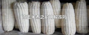 ​冻玉米煮之前用解冻吗
