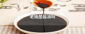 ​老抽是酱油吗