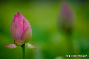 ​如何修复感情挽回一段出轨感情，如何修复出轨后的婚姻