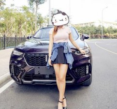 ​魏派vv7真实口碑(长城vv7变速箱是哪里生产的)