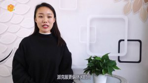 ​尼克服和派克服的区别